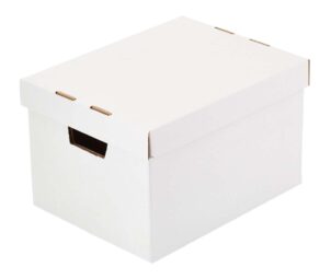 Cardboard Storage Boxes with Lids 